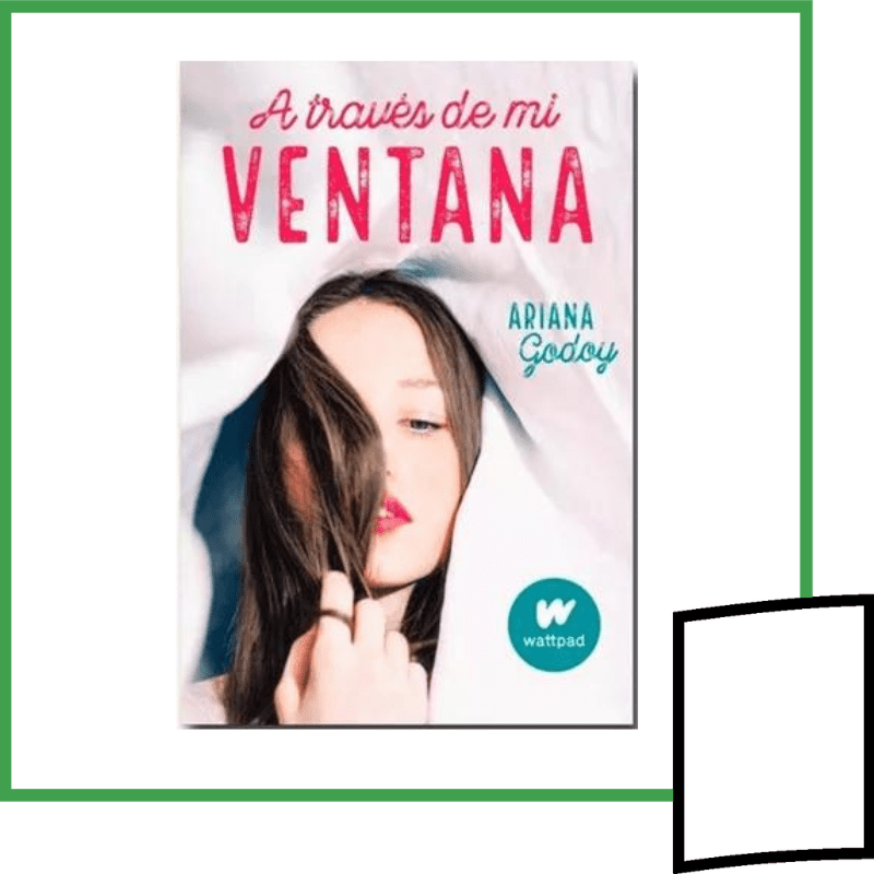 A TRAVES DE MI VENTANA